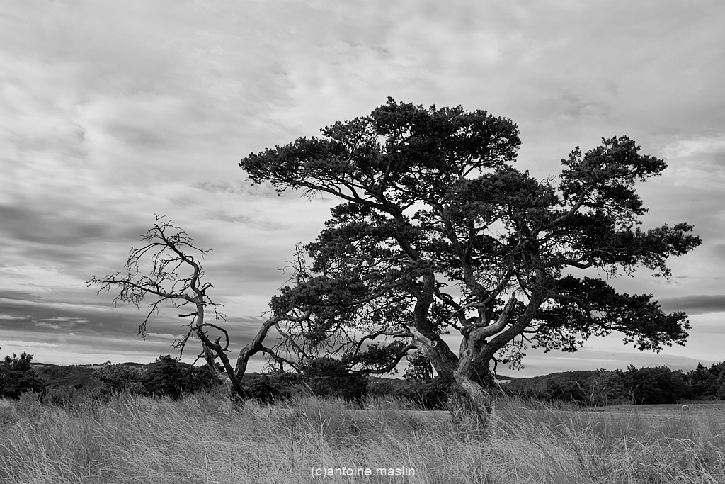 GR70_cantoine.maslin_0-1 GR70, le chemin vers soi