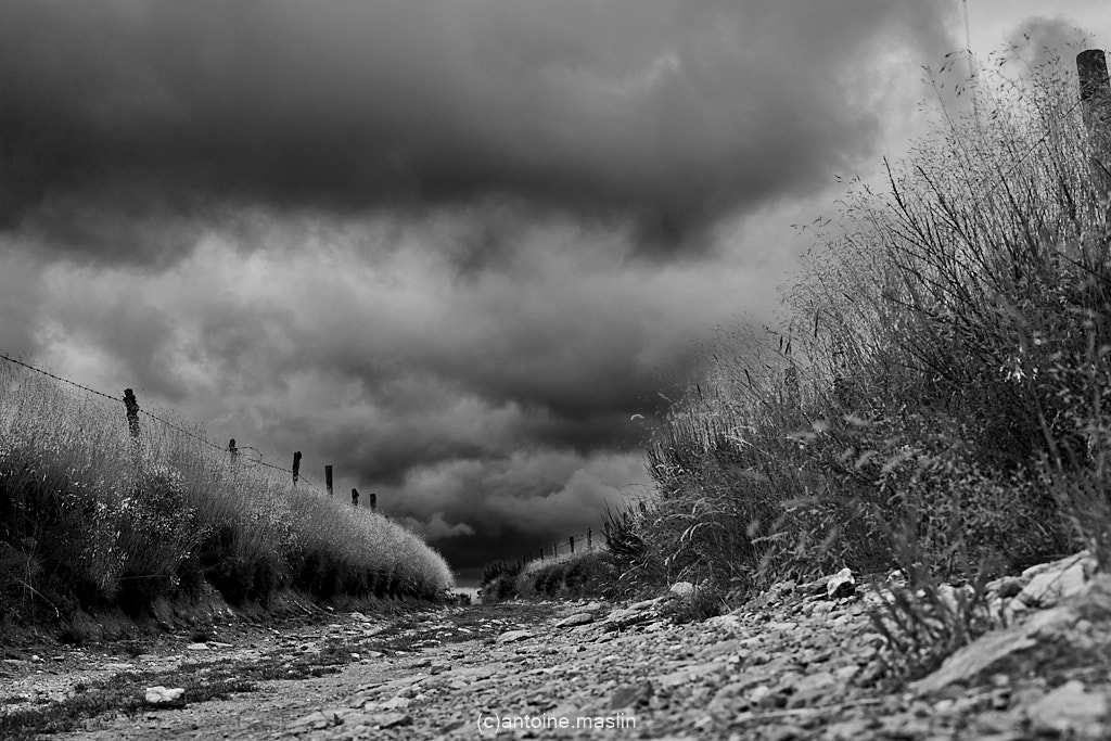 GR70_cantoine.maslin_0-11 GR70, le chemin vers soi