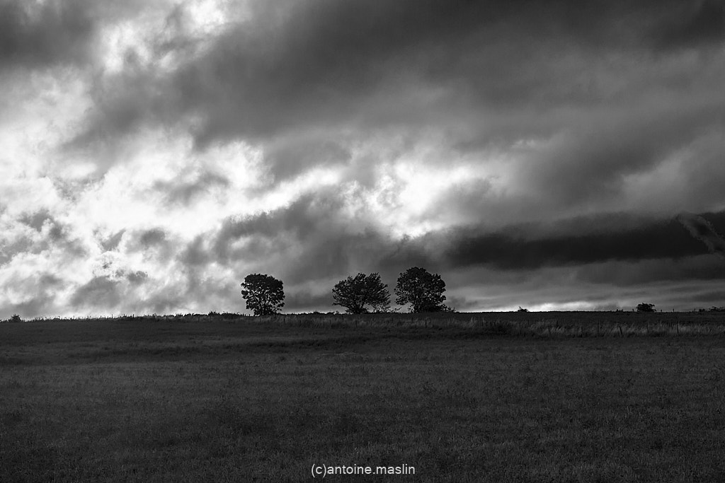 GR70_cantoine.maslin_0-14 GR70, le chemin vers soi