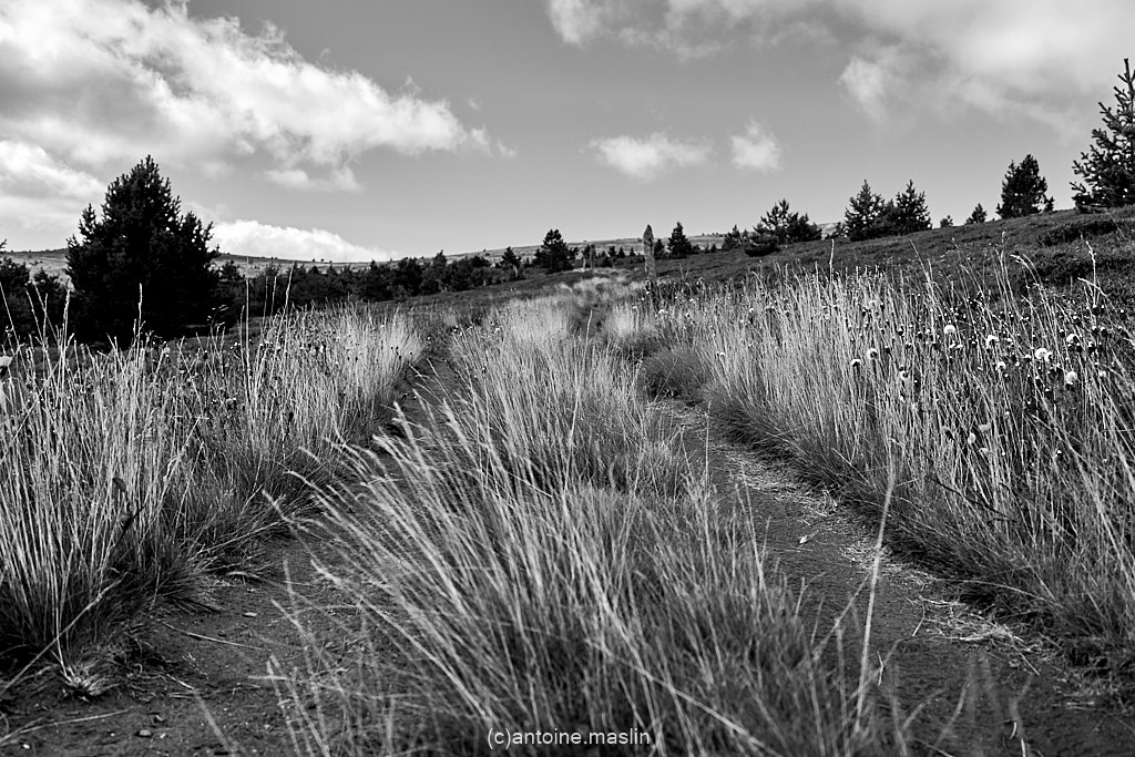 GR70_cantoine.maslin_0-15 GR70, le chemin vers soi