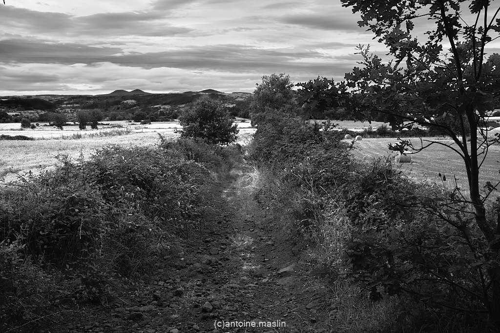 GR70_cantoine.maslin_0-2 GR70, le chemin vers soi