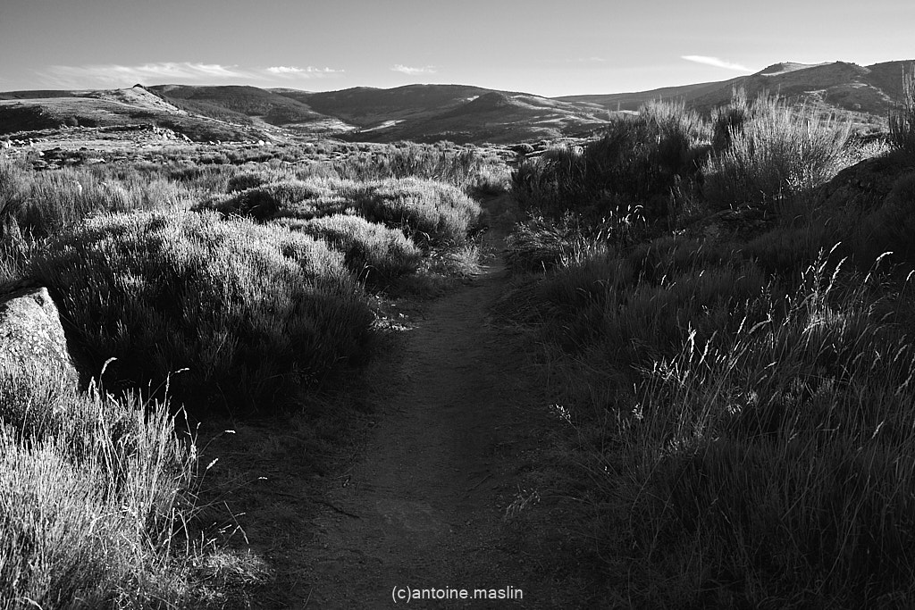 GR70_cantoine.maslin_0-21 GR70, le chemin vers soi