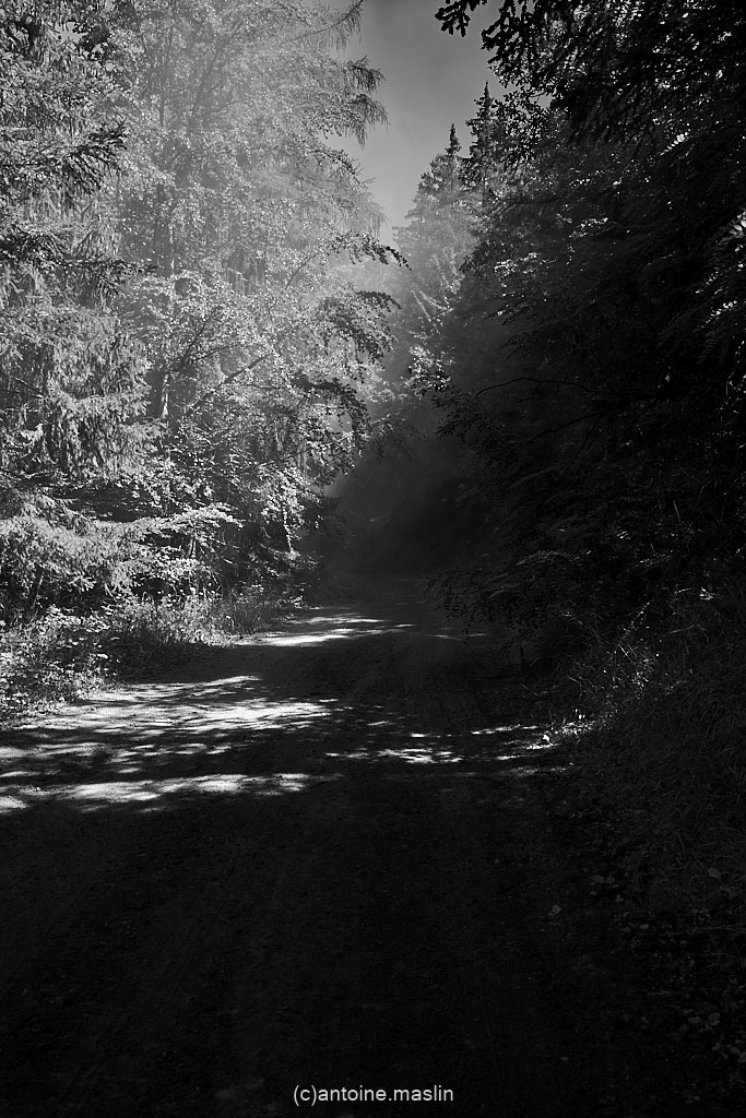 GR70_cantoine.maslin_0-23 GR70, le chemin vers soi