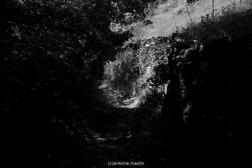 GR70_cantoine.maslin_0-24 GR70, le chemin vers soi