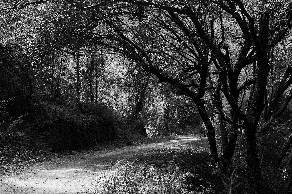 GR70_cantoine.maslin_0-26 GR70, le chemin vers soi