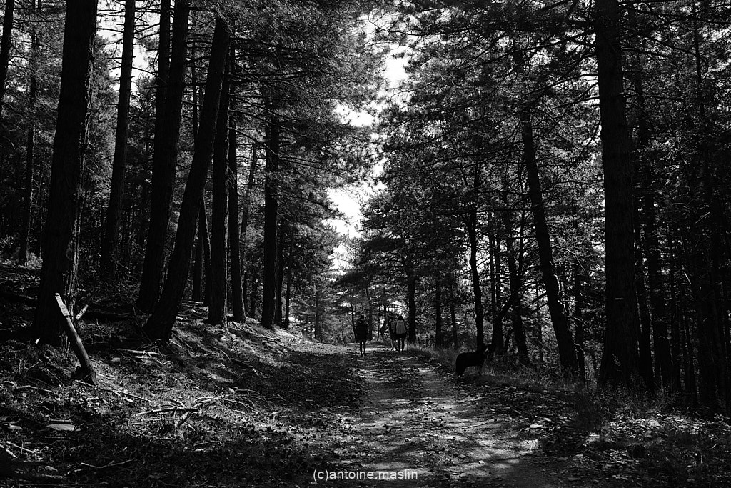 GR70_cantoine.maslin_0-28 GR70, le chemin vers soi