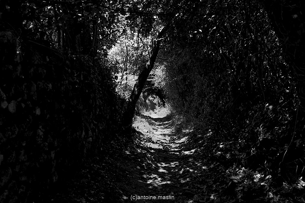 GR70_cantoine.maslin_0-29 GR70, le chemin vers soi