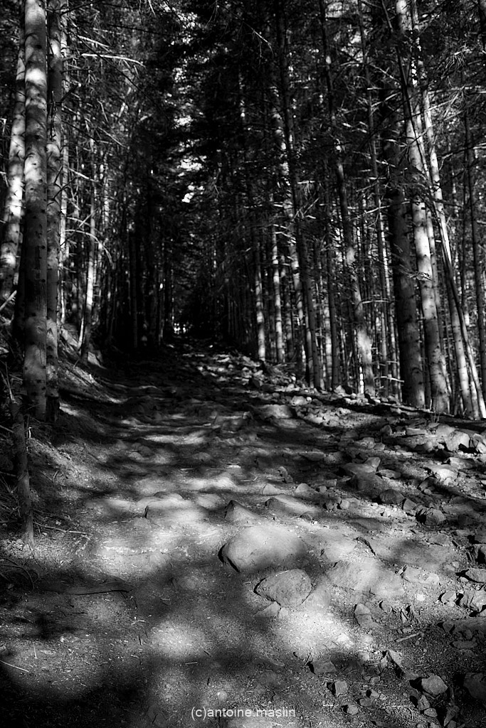 GR70_cantoine.maslin_0-4 GR70, le chemin vers soi