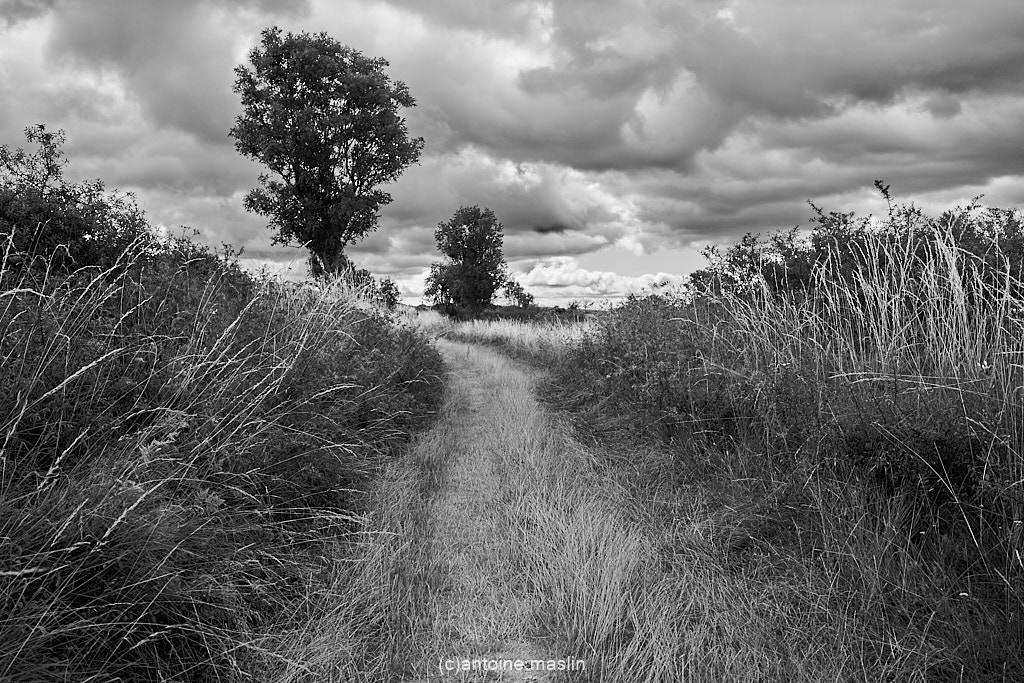 GR70_cantoine.maslin_0-6 GR70, le chemin vers soi