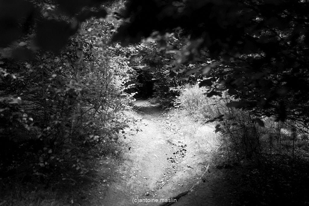 GR70_cantoine.maslin_0-9 GR70, le chemin vers soi