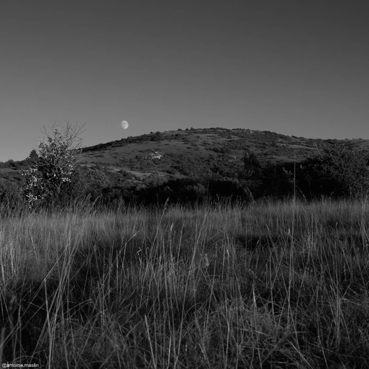 Antoine-Maslin_2024_09_15-1200x1200 Causses et Cévénnes