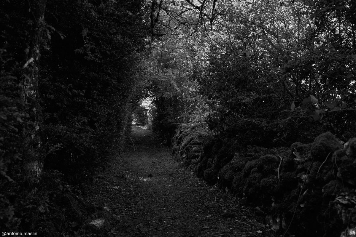 Antoine-Maslin_2024_09_16-4-1200x800 Causses et Cévénnes