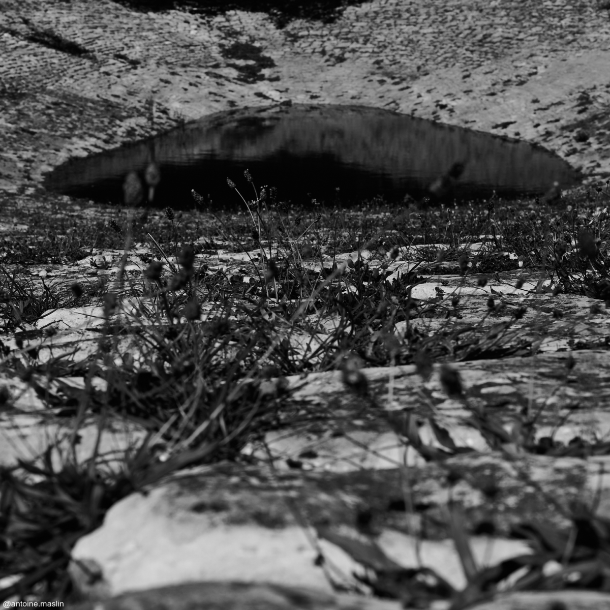 Antoine-Maslin_2024_09_16-9-1200x1200 Causses et Cévénnes