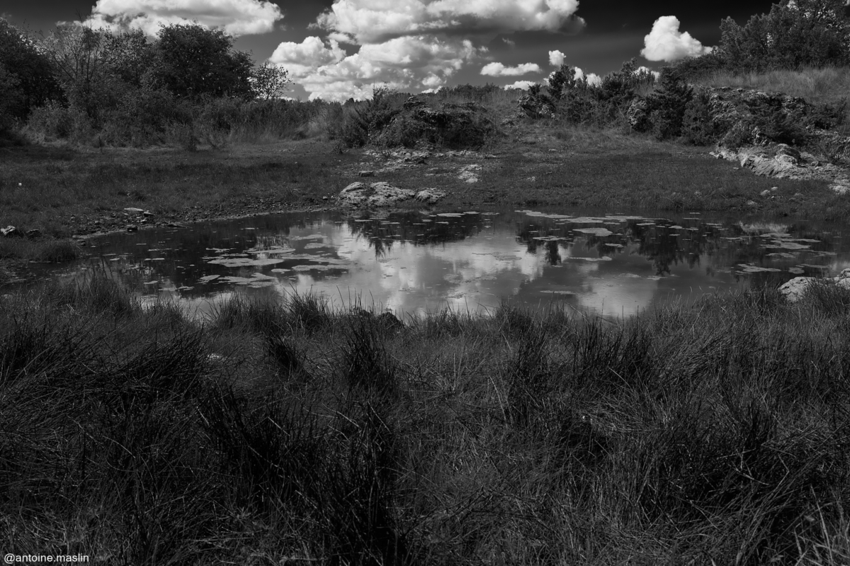 Antoine-Maslin_2024_09_18-1200x800 Causses et Cévénnes