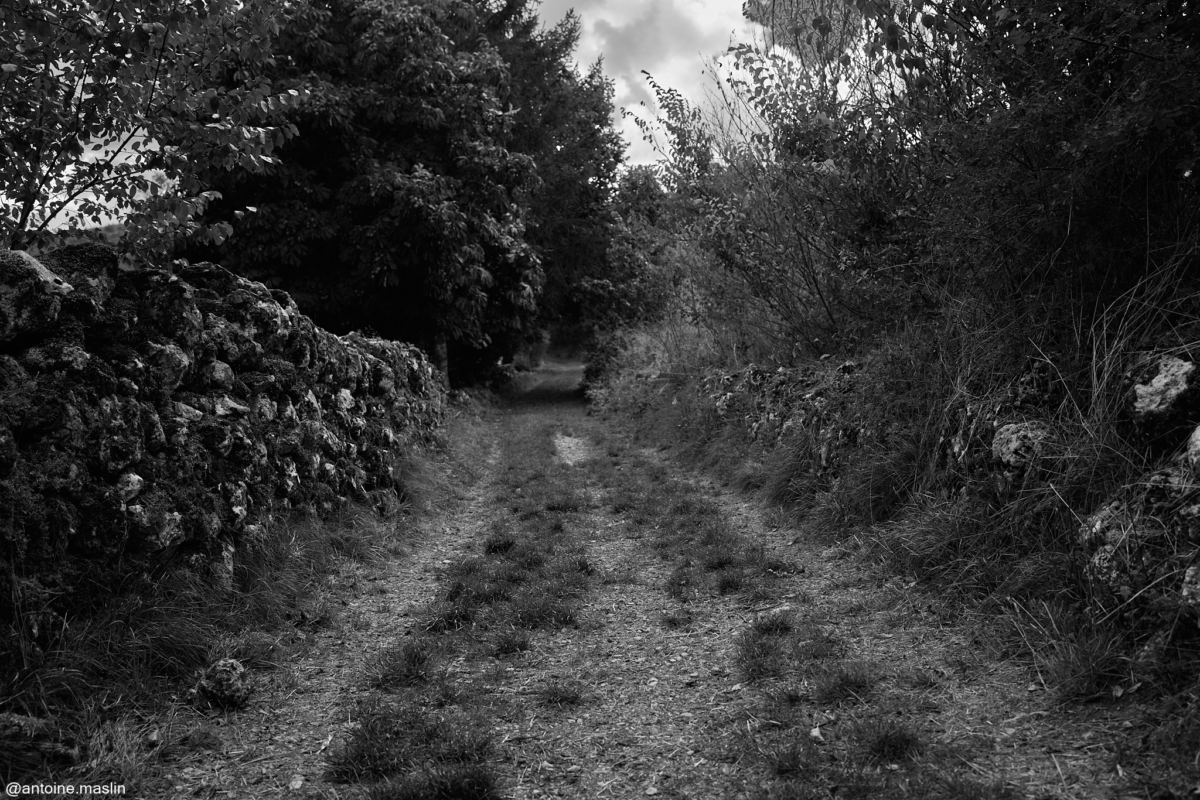 Antoine-Maslin_2024_09_19-3-1200x800 Causses et Cévénnes