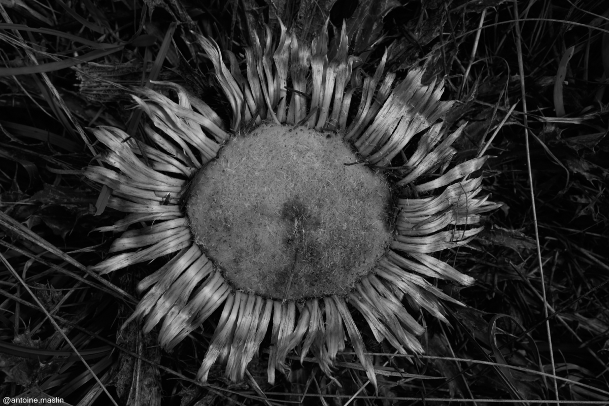 Antoine-Maslin_2024_09_19-6-1200x800 Causses et Cévénnes