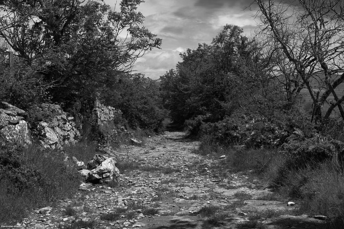 Antoine.Maslin_2024_05_30-6-1200x800 Causses et Cévénnes