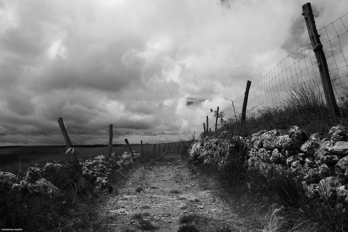 Antoine.Maslin_2024_05_30-7-1200x800 Causses et Cévénnes