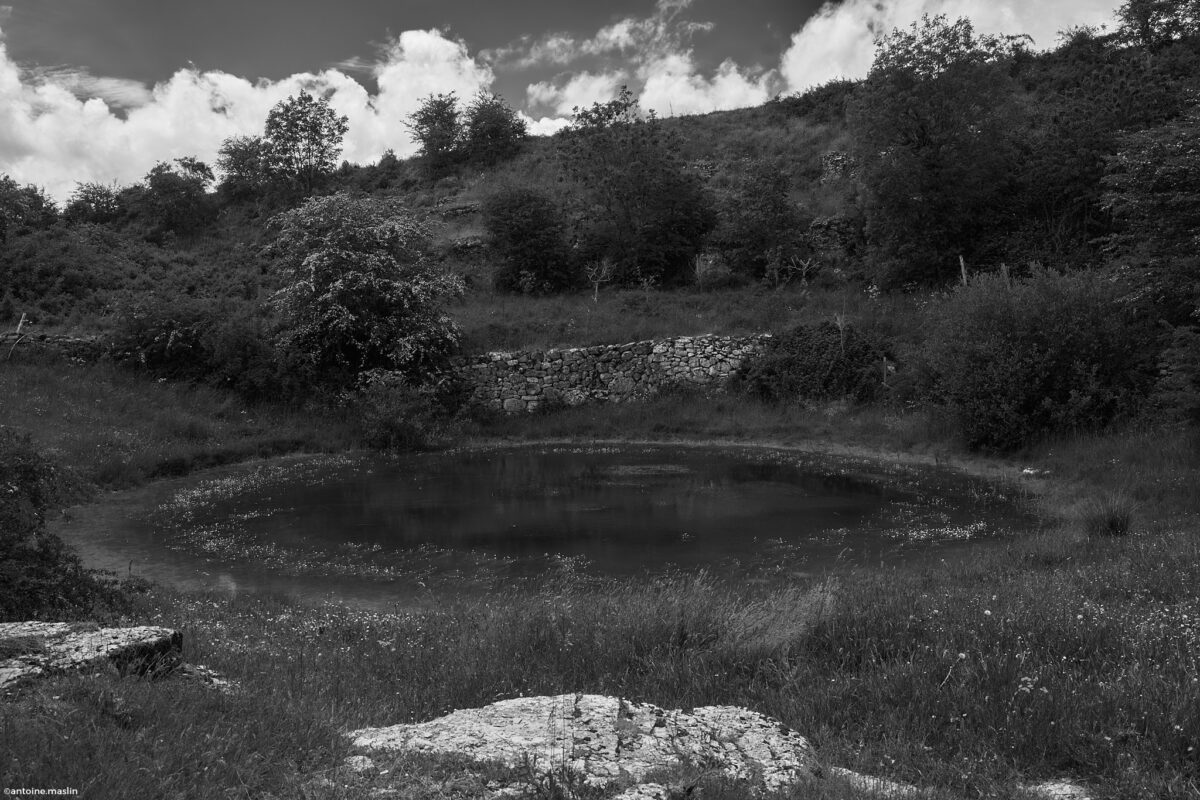 Antoine.Maslin_2024_05_30-9-1200x800 Causses et Cévénnes