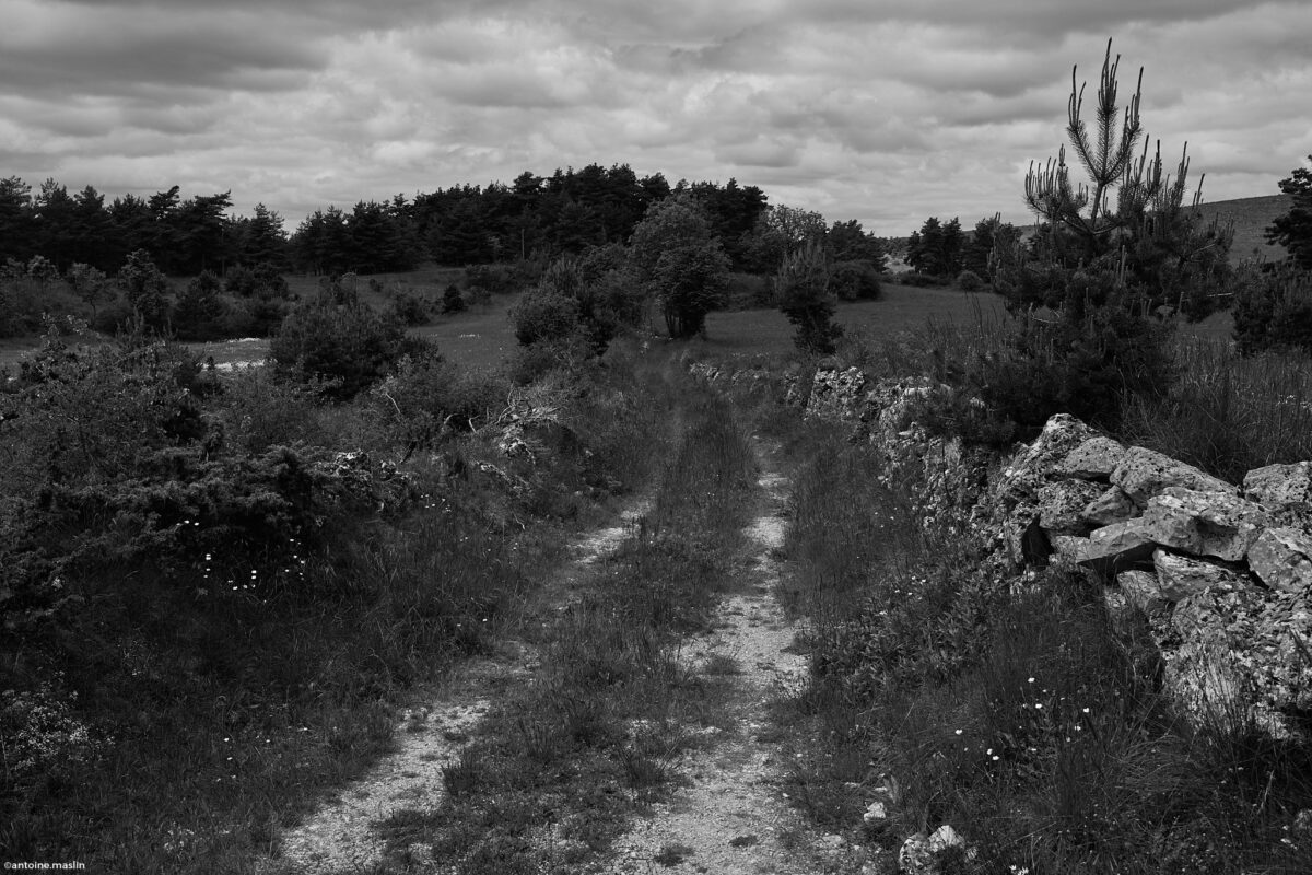 Antoine.Maslin_2024_06_02-6-1200x800 Causses et Cévénnes