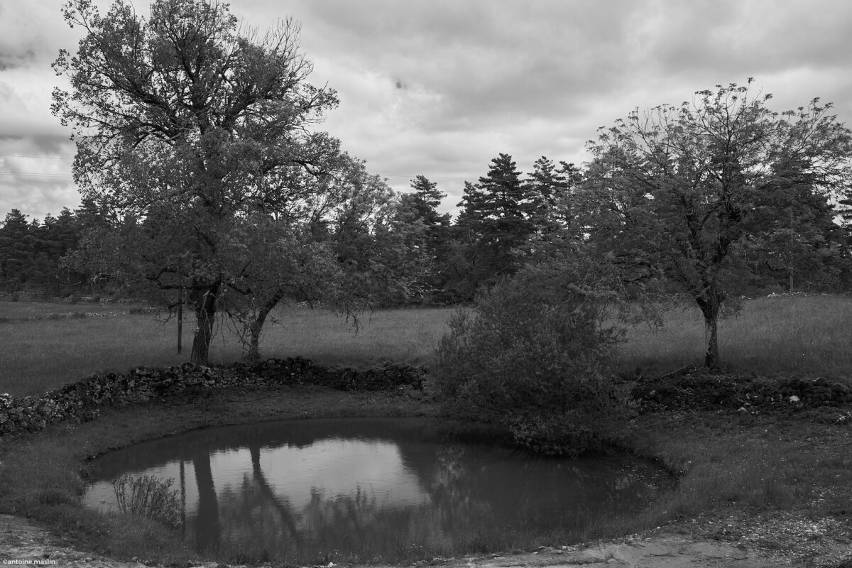 Antoine.Maslin_2024_06_02-7-1200x800 Causses et Cévénnes