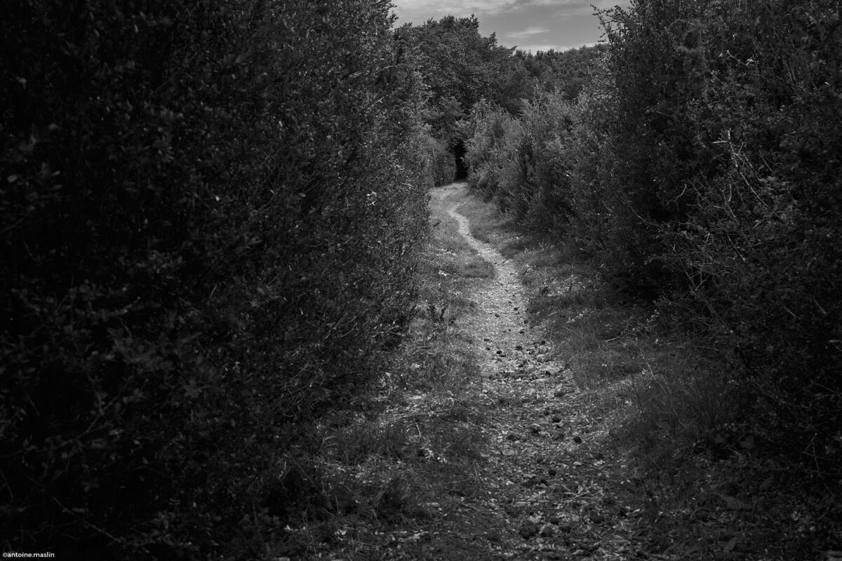 Antoine.Maslin_2024_07_13-6-1200x800 Causses et Cévénnes