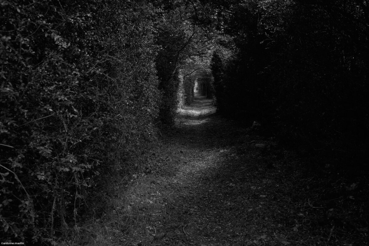 Antoine.Maslin_2024_07_13-7-1200x800 Causses et Cévénnes