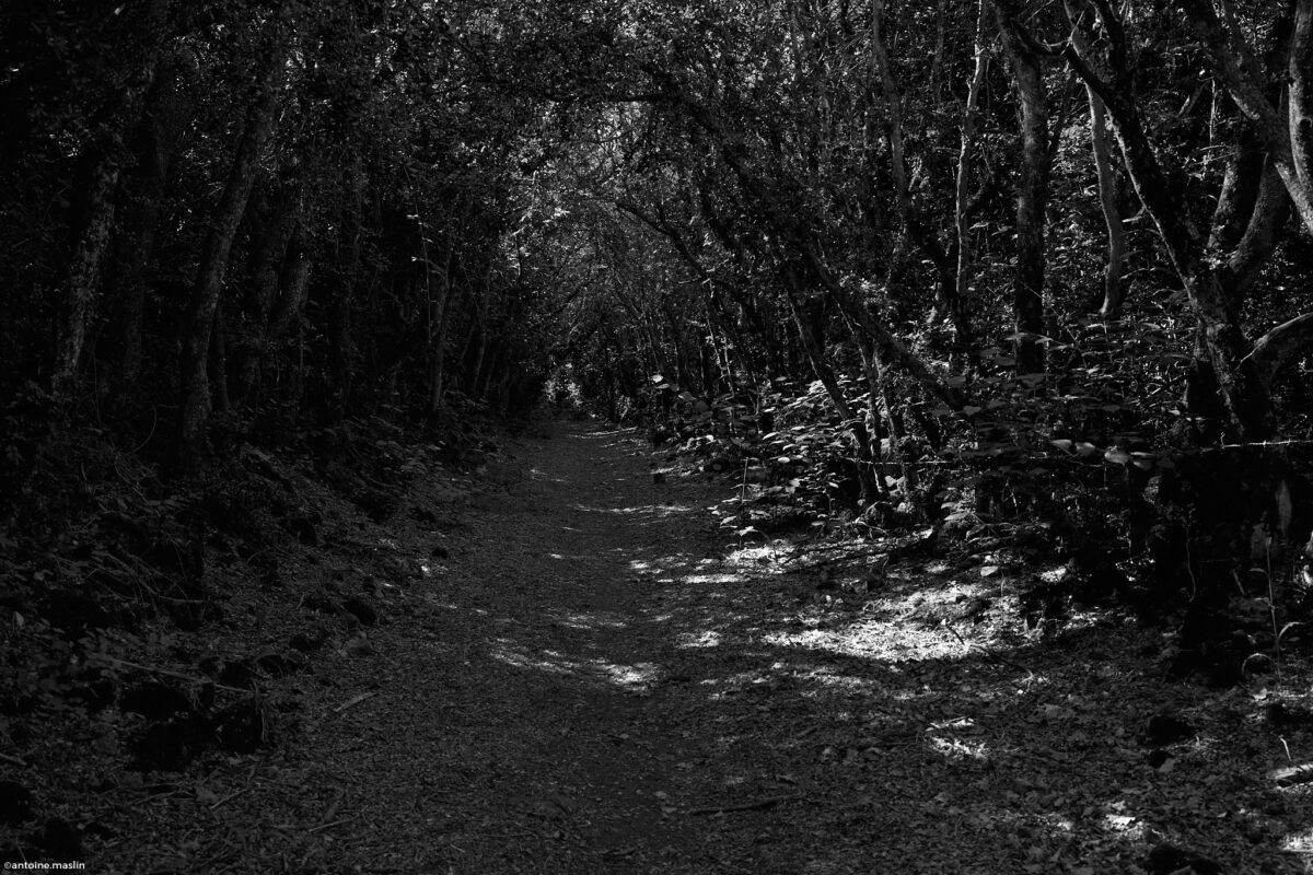 Antoine.Maslin_2024_07_13-9-1200x800 Causses et Cévénnes