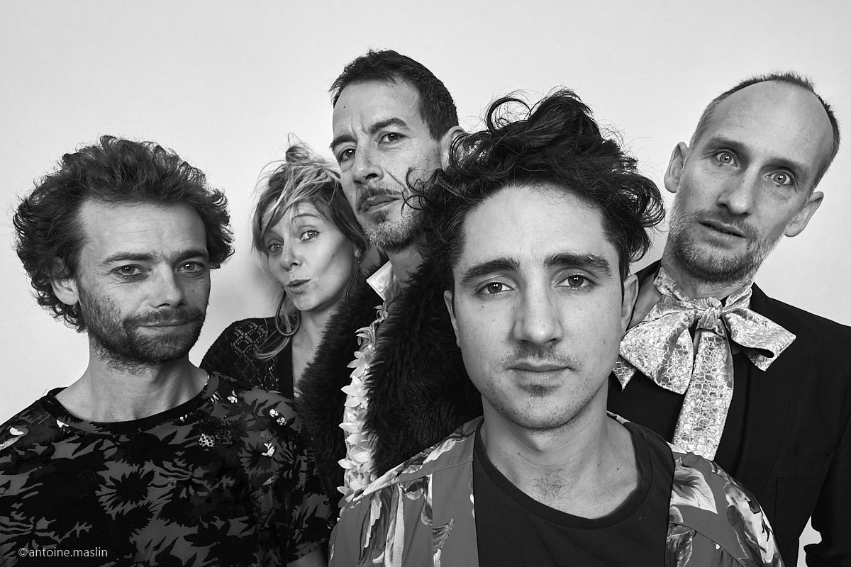 RoseTapir_3 Portfolio