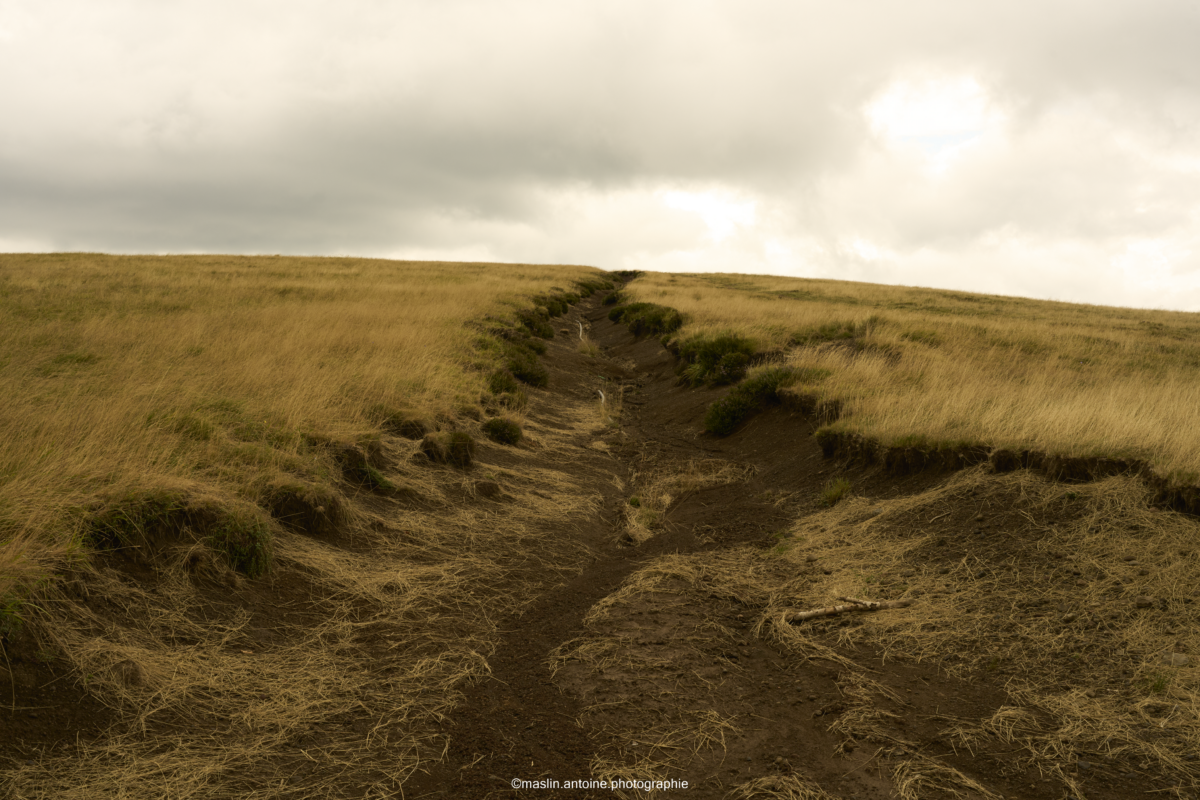 gtva_2025_07_20_MA_4455-1200x800 %page GTVA - Grande Traversée des Volcans d'Auvergne 
