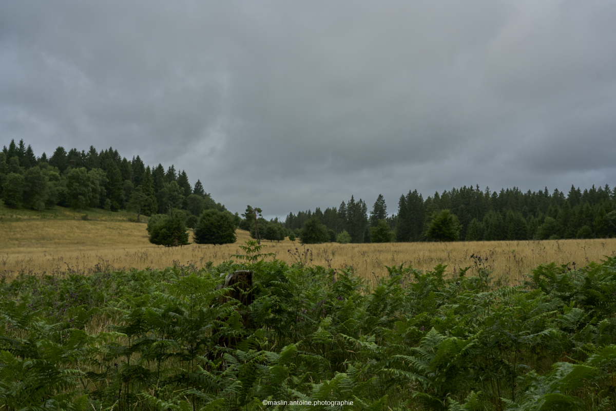 gtva_2025_07_21_MA_4491-1200x800 %page GTVA - Grande Traversée des Volcans d'Auvergne 