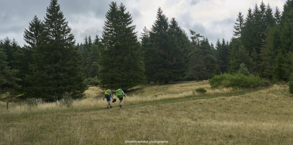 gtva_2025_07_21_MA_4495-1200x594 %page GTVA - Grande Traversée des Volcans d'Auvergne 
