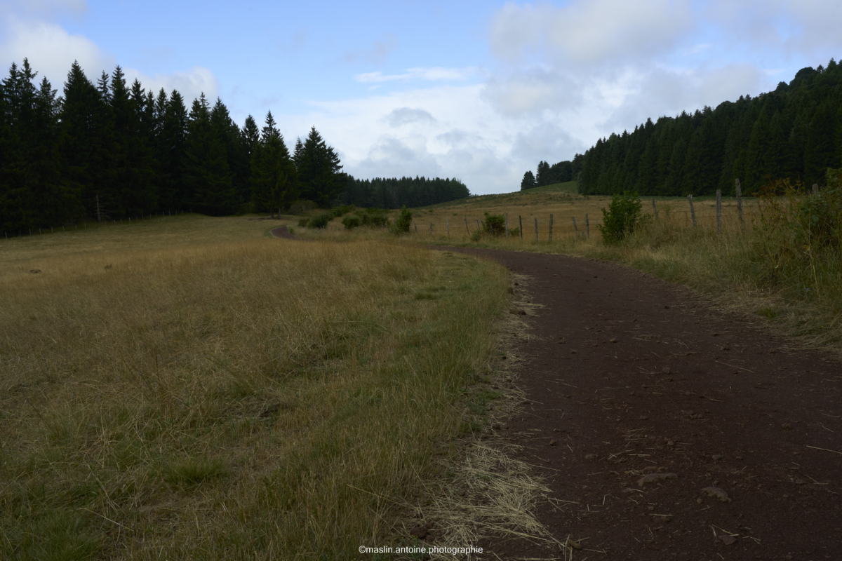 gtva_2025_07_21_MA_4496-1200x800 %page GTVA - Grande Traversée des Volcans d'Auvergne 