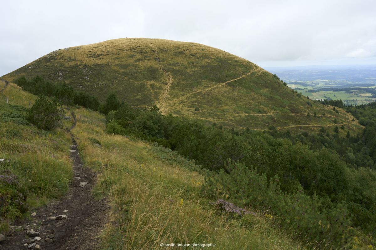 gtva_2025_07_22_MA_4546-1200x800 %page GTVA - Grande Traversée des Volcans d'Auvergne 