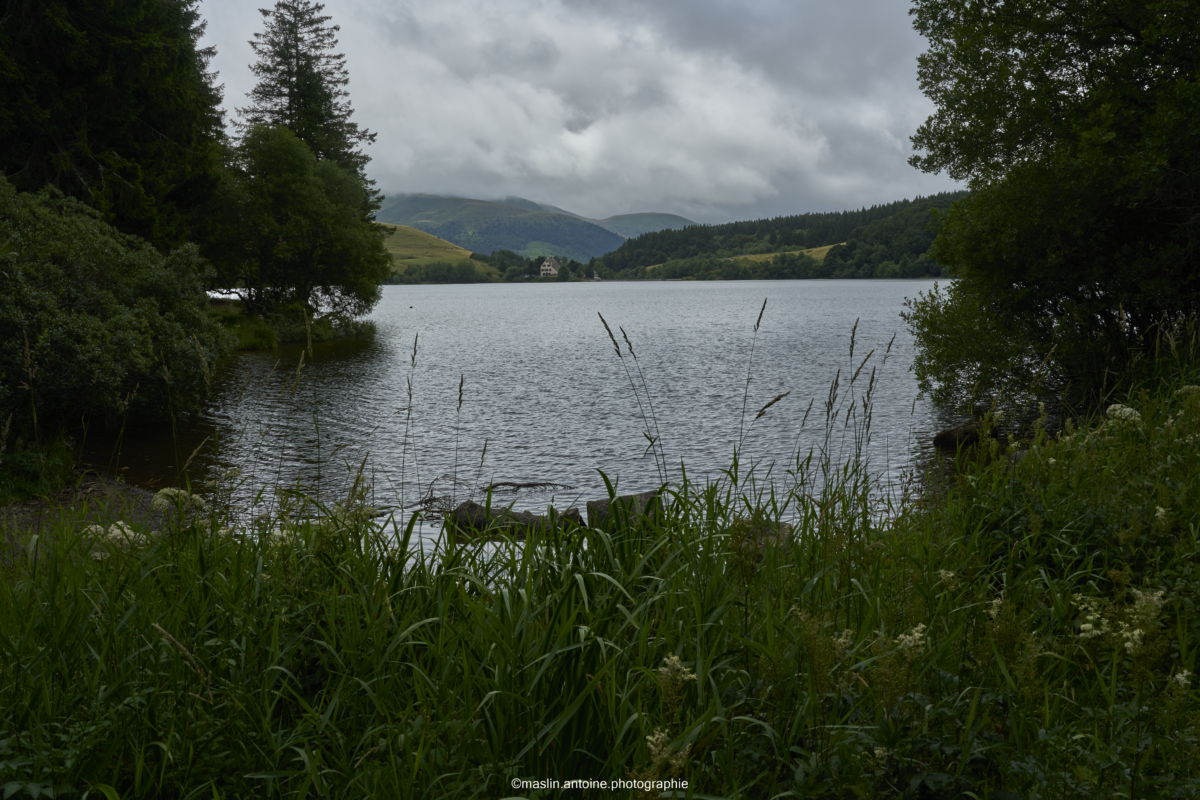 gtva_2025_07_22_MA_4552-1200x800 %page GTVA - Grande Traversée des Volcans d'Auvergne 