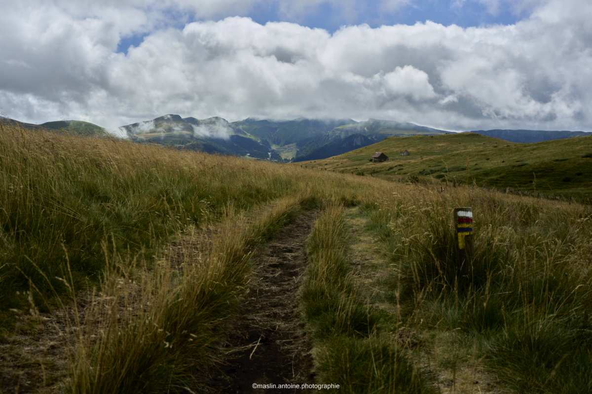 gtva_2025_07_22_MA_4562-1200x800 %page GTVA - Grande Traversée des Volcans d'Auvergne 