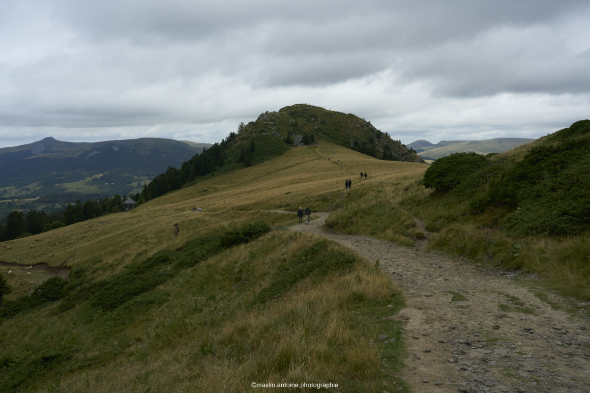 gtva_2025_07_23_MA_4593-1200x800 %page GTVA - Grande Traversée des Volcans d'Auvergne 