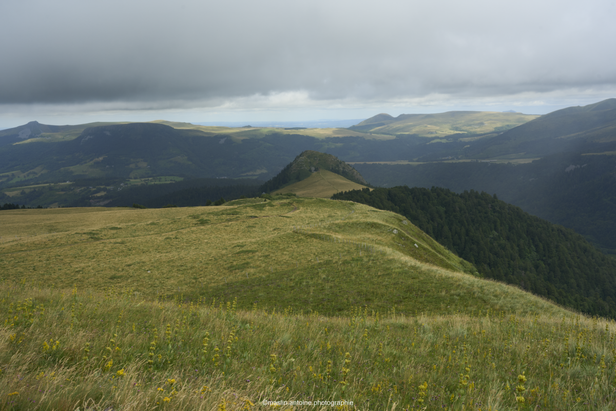 gtva_2025_07_23_MA_4596-1200x800 %page GTVA - Grande Traversée des Volcans d'Auvergne 