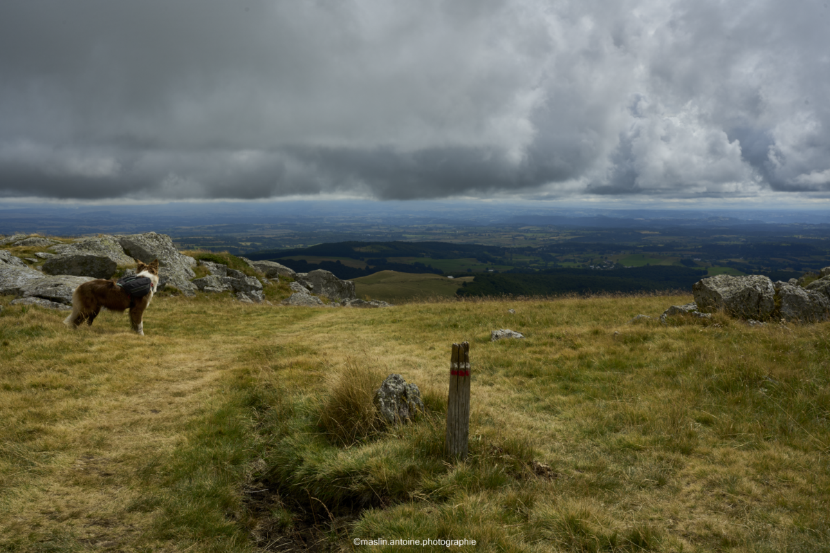 gtva_2025_07_23_MA_4624-1200x800 %page GTVA - Grande Traversée des Volcans d'Auvergne 