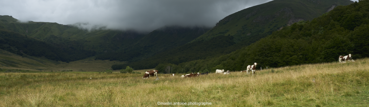gtva_2025_07_23_MA_4627-1200x350 %page GTVA - Grande Traversée des Volcans d'Auvergne 