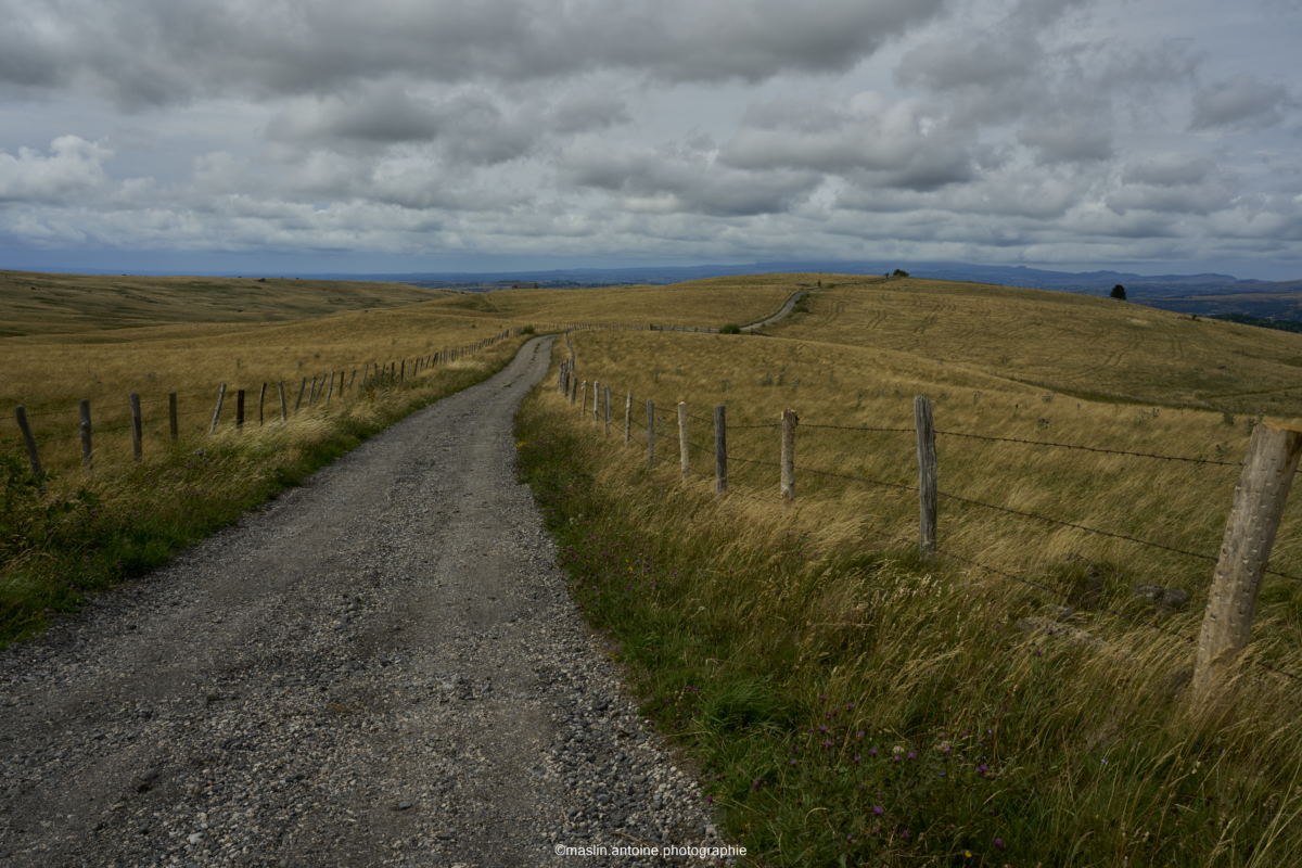 gtva_2025_07_27_MA_4728-1200x800 %page GTVA - Grande Traversée des Volcans d'Auvergne 